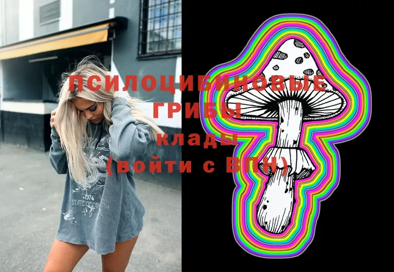 Галлюциногенные грибы Magic Shrooms  omg зеркало  Кизляр 